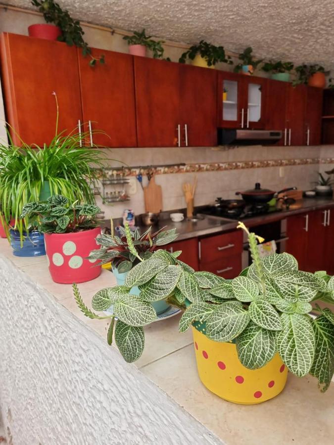 Tatami Hostel Bucaramanga Extérieur photo