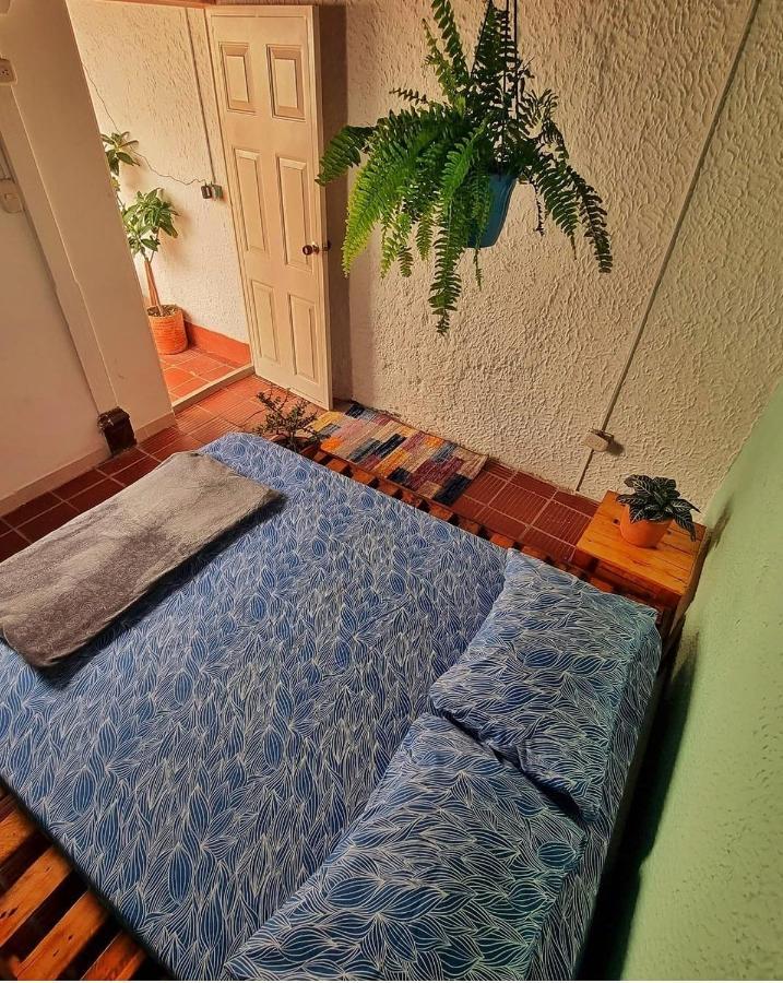 Tatami Hostel Bucaramanga Extérieur photo