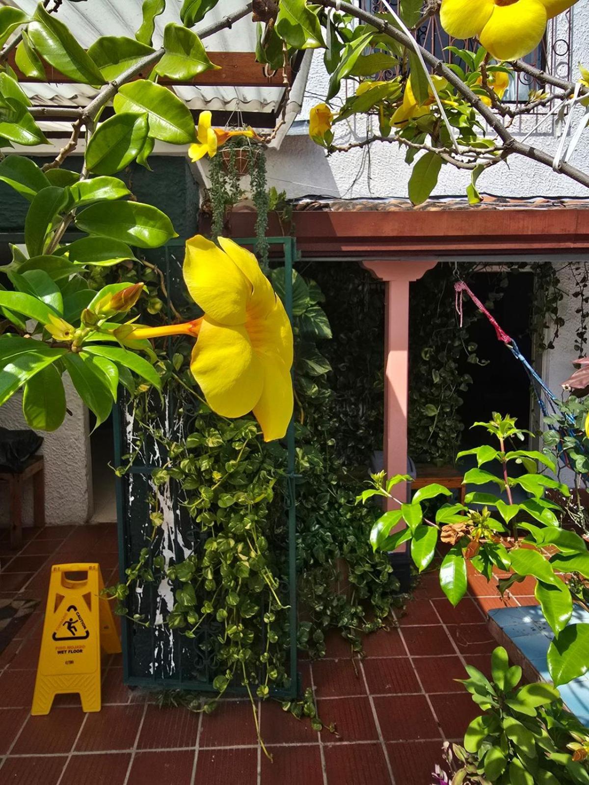 Tatami Hostel Bucaramanga Extérieur photo